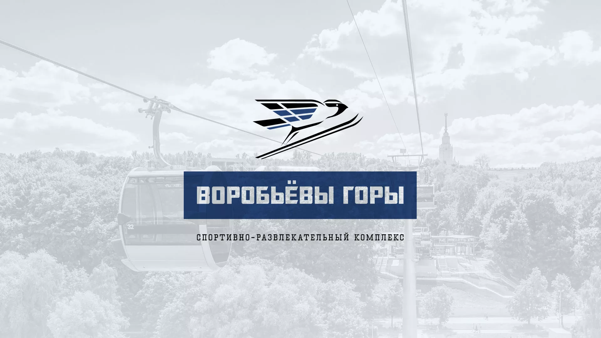 Разработка сайта в Комсомольске для спортивно-развлекательного комплекса «Воробьёвы горы»